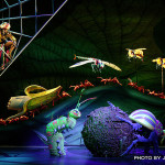 KaTonga-Musical Tales from the Jungle, at Busch Gardens Tampa Bay